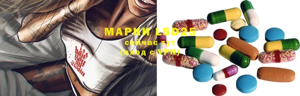 соль ск Новозыбков