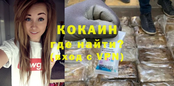 соль ск Новозыбков