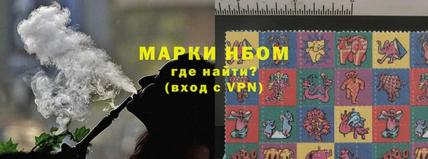 соль ск Новозыбков
