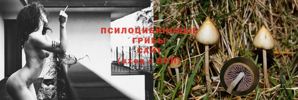 первитин Новокубанск