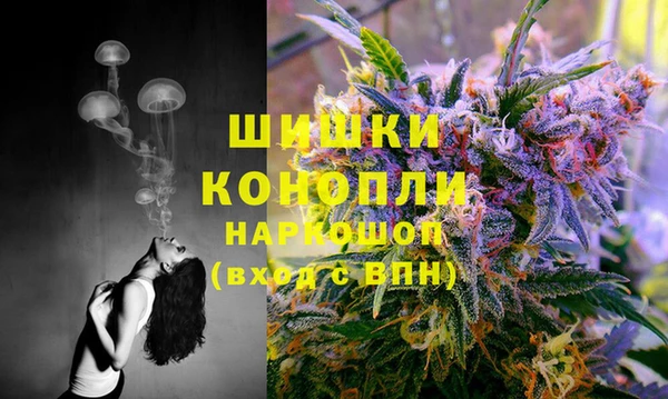 кокаин Новодвинск
